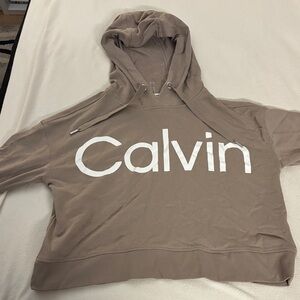 Calvin Klein Beige Hoodie with White Logo